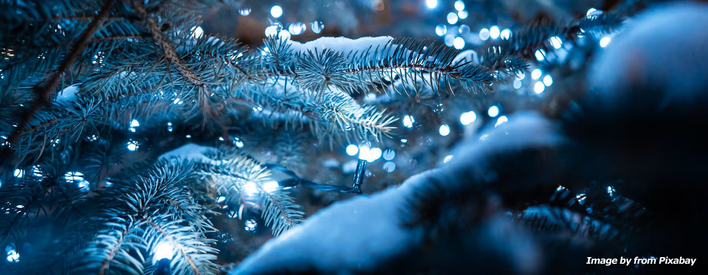 Unsere besten Wünsche zum Jahreswechsel!