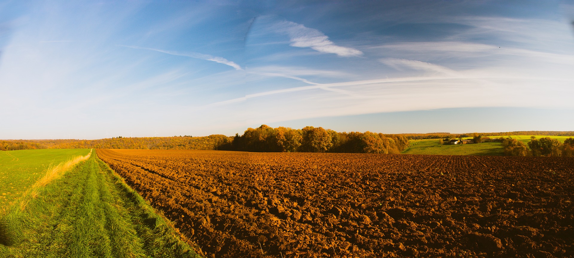 Es finden keine Veranstaltungen im November statt 